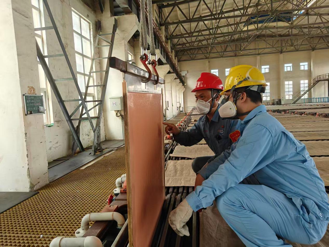 W020251231578499603244