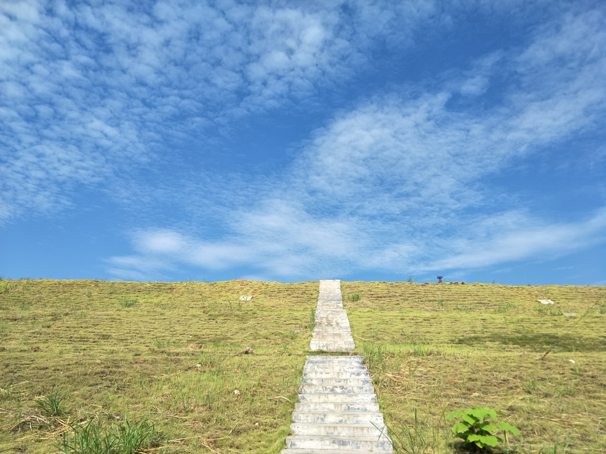 W020240603564195162522