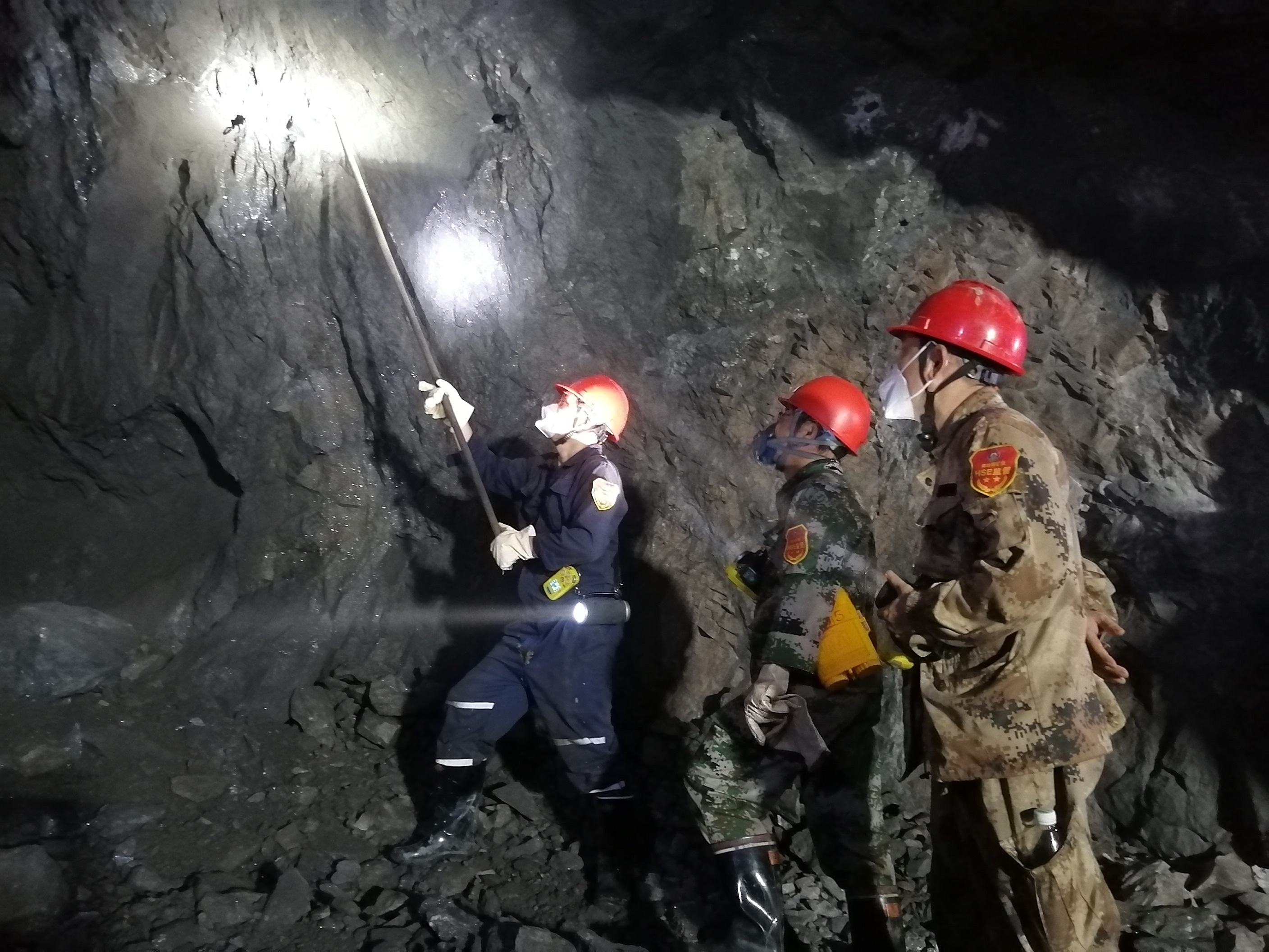 W020240603564195433347