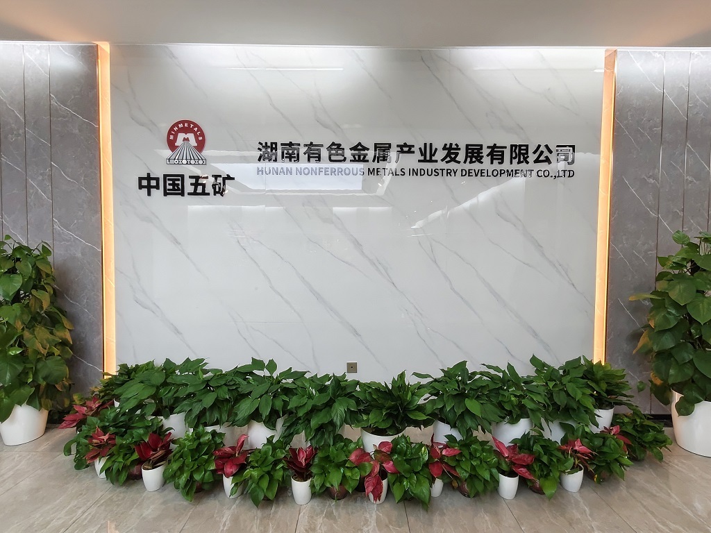 W020260109616323698034