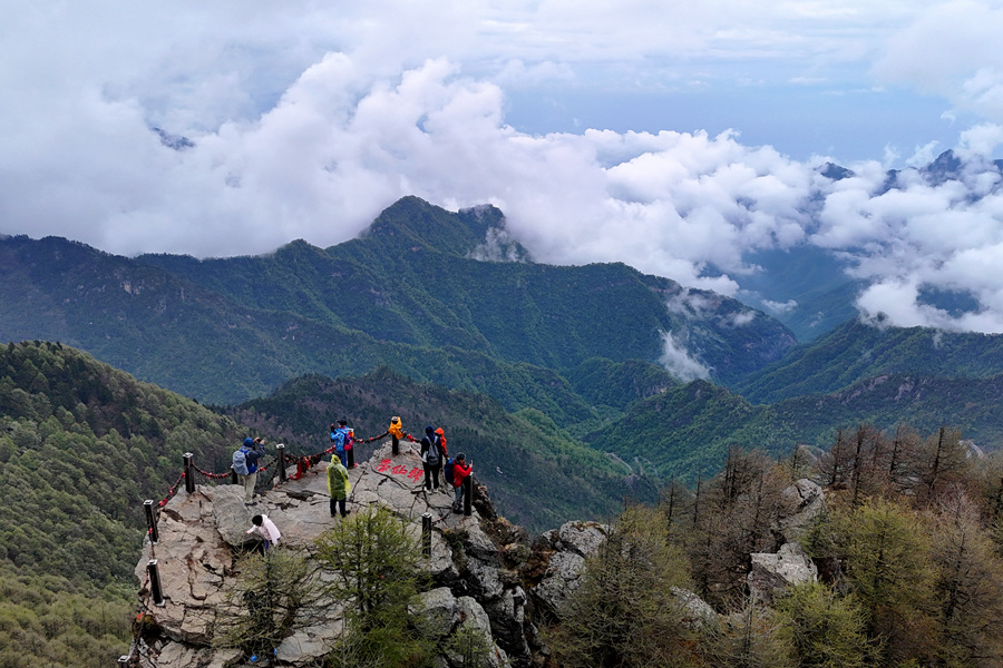 �ط�7790(�й���)���Ӽ���-����ƽ̨��¼���